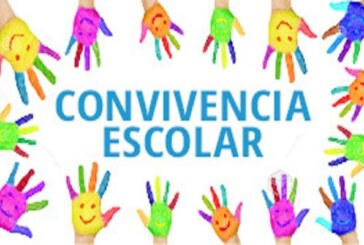 ELABORACIÓN DE PLAN DE NORMAS DE CONVIVENCIA INSTITUCIONAL 2019