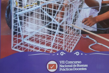 VII CONCURSO NACIONAL DE BUENAS PRÁCTICAS DOCENTES