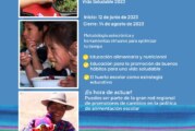 Curso “Educando para Lograr Entornos Escolares Saludables y Sostenibles en el Perú – vida saludable 2023”
