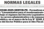 CRONOGRAMA REGIONAL DEL PROCESO DE NOMBRAMIENTO DEL PERSONAL CONTRATADO BAJO EL RÉGIMEN LABORAL DEL DECRETO LEGISLATIVO N° 276 – 2025